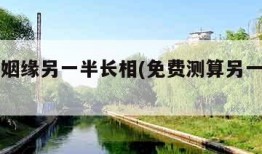 免费测姻缘另一半长相(免费测算另一半长相图)