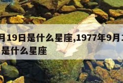 9月19日是什么星座,1977年9月19日是什么星座