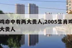 生肖鸡命中有两大贵人,2005生肖鸡命中有两大贵人