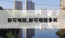 郁可唯腿,郁可唯腿多长