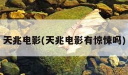 天兆电影(天兆电影有惊悚吗)