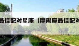 摩羯座最佳配对星座（摩羯座最佳配对星座闺蜜）