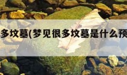 梦见很多坟墓(梦见很多坟墓是什么预兆女人)