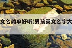 男孩英文名简单好听(男孩英文名字大全及寓意)