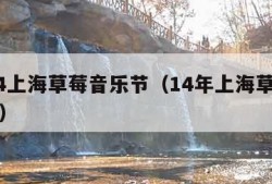 2014上海草莓音乐节（14年上海草莓音乐节）