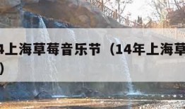 2014上海草莓音乐节（14年上海草莓音乐节）