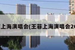王菲上海演唱会(王菲上海演唱会2004)