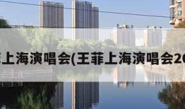王菲上海演唱会(王菲上海演唱会2004)