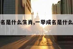 一举成名是什么生肖,一举成名是什么生肖最正确