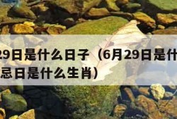 6月29日是什么日子（6月29日是什么日子月忌日是什么生肖）