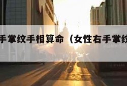 女性右手掌纹手相算命（女性右手掌纹算命图解）