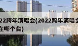 2022跨年演唱会(2022跨年演唱会肖战在哪个台)