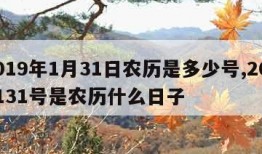 2019年1月31日农历是多少号,2019131号是农历什么日子
