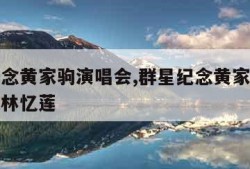 群星纪念黄家驹演唱会,群星纪念黄家驹演唱会视频林忆莲