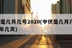 中伏是几月几号2020(中伏是几月几号2023年几天)