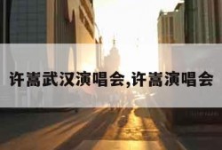 许嵩武汉演唱会,许嵩演唱会