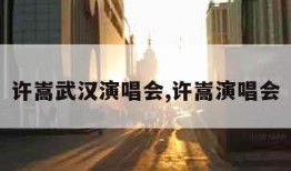 许嵩武汉演唱会,许嵩演唱会