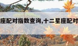 十二星座配对指数查询,十二星座配对指数排名
