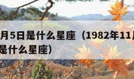 11月5日是什么星座（1982年11月5日是什么星座）