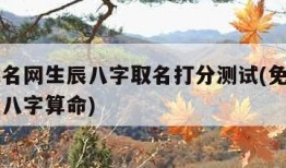 免费起名网生辰八字取名打分测试(免费起名字生辰八字算命)