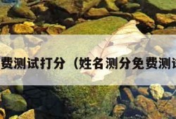 名字免费测试打分（姓名测分免费测试打分）