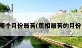 哪个月份最苦(属相最苦的月份)