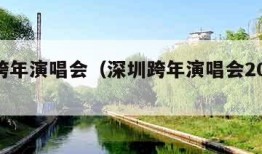 深圳跨年演唱会（深圳跨年演唱会2024时间）
