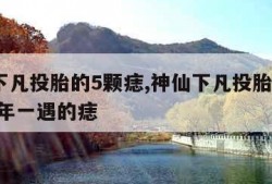 神仙下凡投胎的5颗痣,神仙下凡投胎的5颗痣,千年一遇的痣