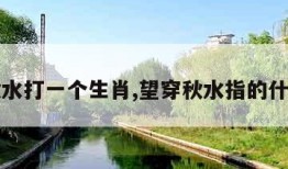 望穿秋水打一个生肖,望穿秋水指的什么生肖