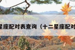十二星座配对表查询（十二星座配对配对）