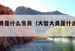大智大勇是什么生肖（大智大勇是什么生肖鼠）