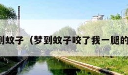 梦到蚊子（梦到蚊子咬了我一腿的包）