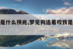 梦见狗是什么预兆,梦见狗追着咬我是什么预兆