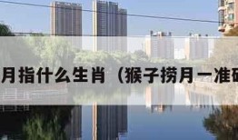 猴子捞月指什么生肖（猴子捞月一准确生肖）
