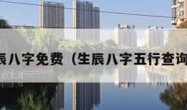 查生辰八字免费（生辰八字五行查询免费）