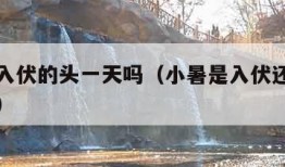 小暑是入伏的头一天吗（小暑是入伏还是大暑是入伏）