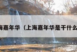 上海嘉年华（上海嘉年华是干什么的）