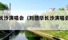 刘德华长沙演唱会（刘德华长沙演唱会倒计时）
