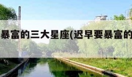 迟早要暴富的三大星座(迟早要暴富的三大星座女)
