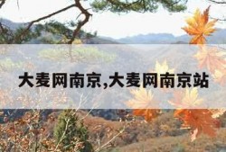 大麦网南京,大麦网南京站
