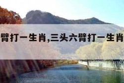 三头六臂打一生肖,三头六臂打一生肖是什么动物?