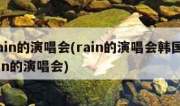 rain的演唱会(rain的演唱会韩国rain的演唱会)