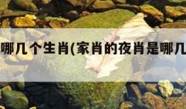 夜肖是哪几个生肖(家肖的夜肖是哪几个生肖)