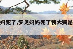 梦见妈妈死了,梦见妈妈死了我大哭是什么预兆