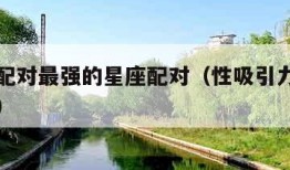性吸引配对最强的星座配对（性吸引力最强的星座女）