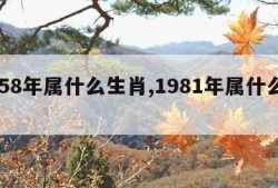 1958年属什么生肖,1981年属什么生肖