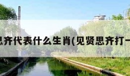 见贤思齐代表什么生肖(见贤思齐打一数字)