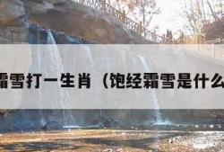 饱经霜雪打一生肖（饱经霜雪是什么生肖）