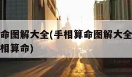 手相算命图解大全(手相算命图解大全教你怎么看手相算命)