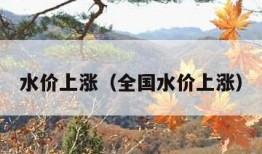 水价上涨（全国水价上涨）